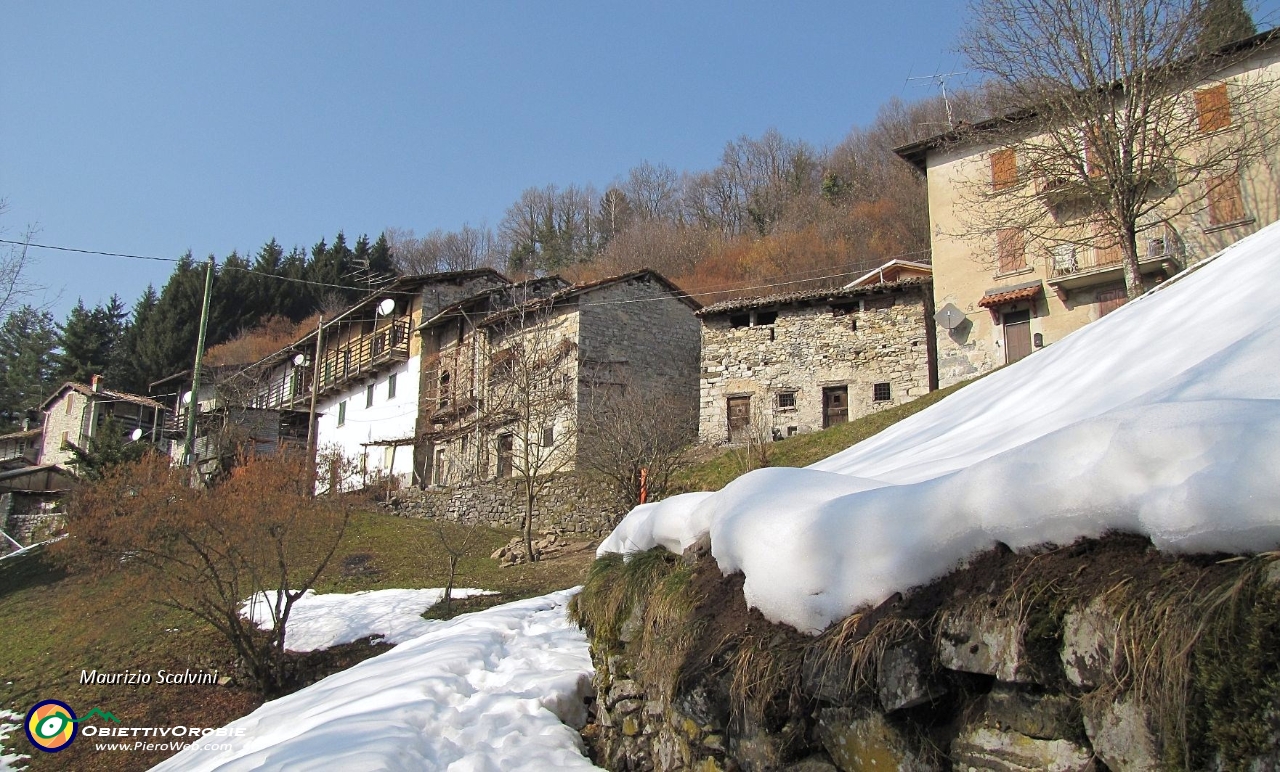 54 Bosco Entro, scendo in un valloncello e poi risalgo verso Bosco Fuori....JPG